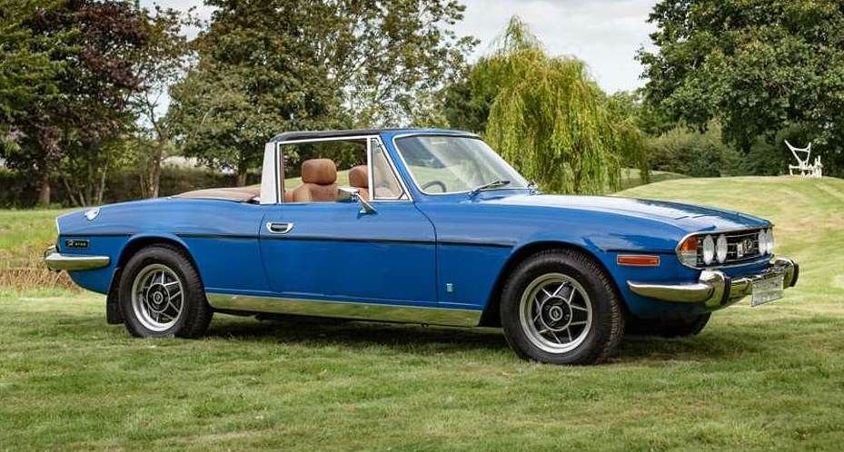 Stag Blue.jpg