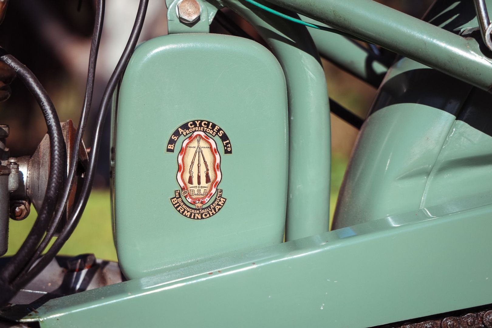 BSA Logo - Copy.jpg